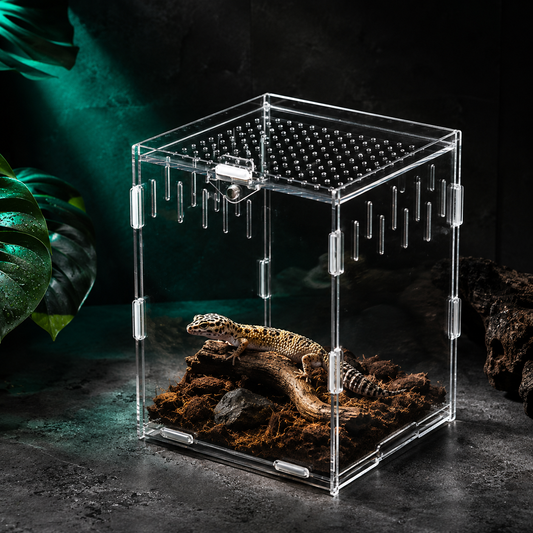 Acrylic Reptile Terrarium | Clear Ventilated Enclosure for Geckos & Spiders