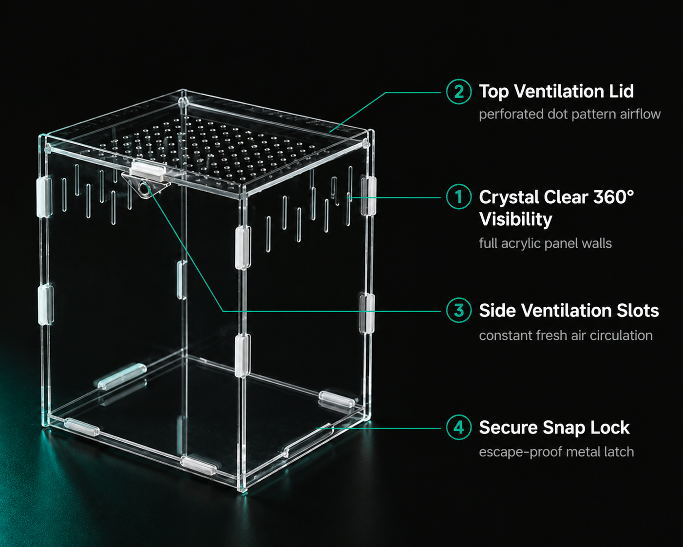Acrylic Reptile Terrarium | Clear Ventilated Enclosure for Geckos & Spiders
