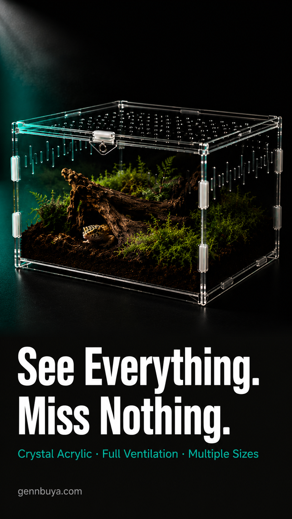 Acrylic Reptile Terrarium | Clear Ventilated Enclosure for Geckos & Spiders