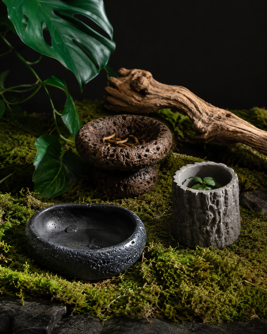 Terrain Log Bowl | Naturalistic Food & Water Dish for Lizards, Geckos & Snakes