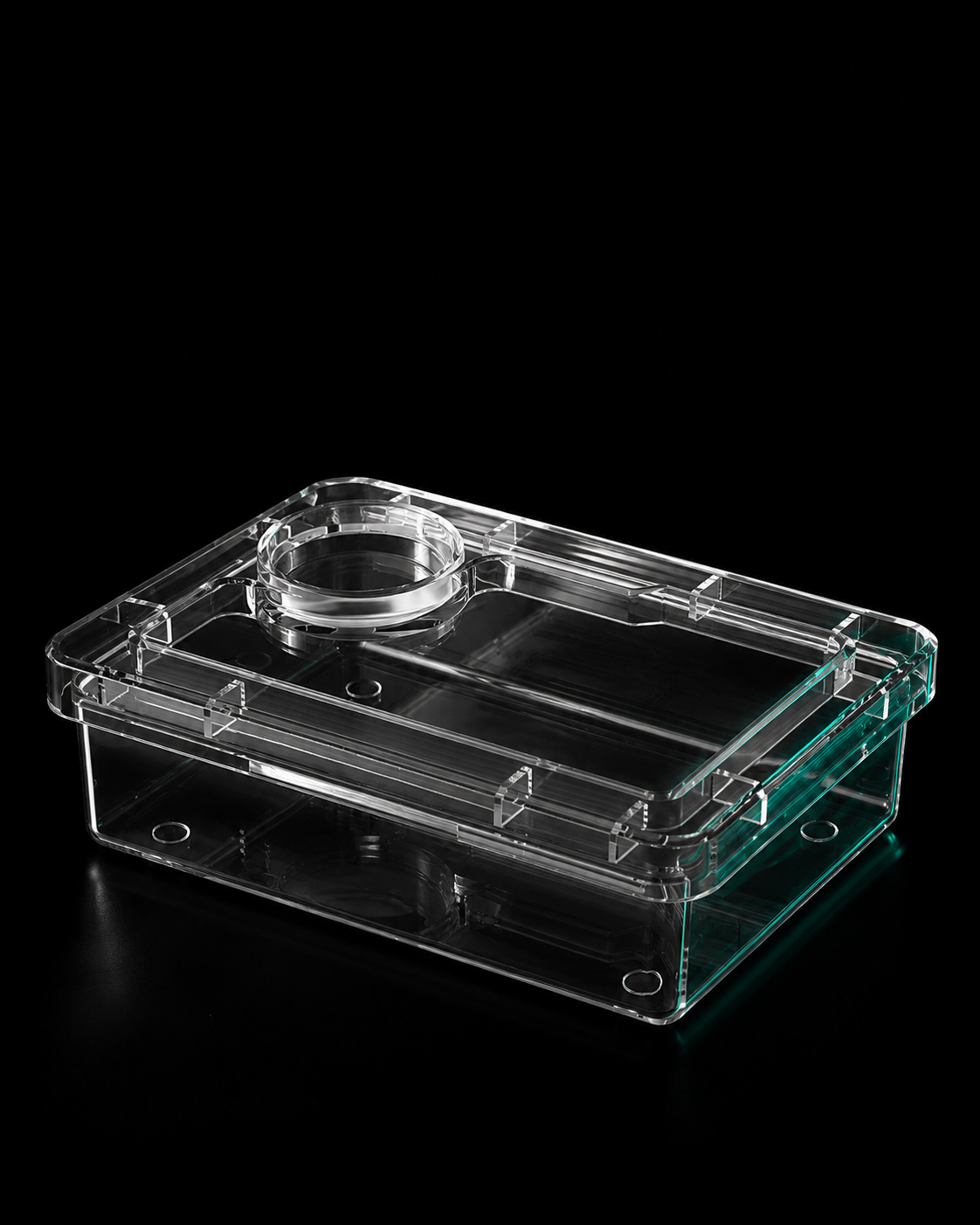 Clear Escape-Proof Feeder & Water Dish | Live Feeder Containment for Lizards & Geckos