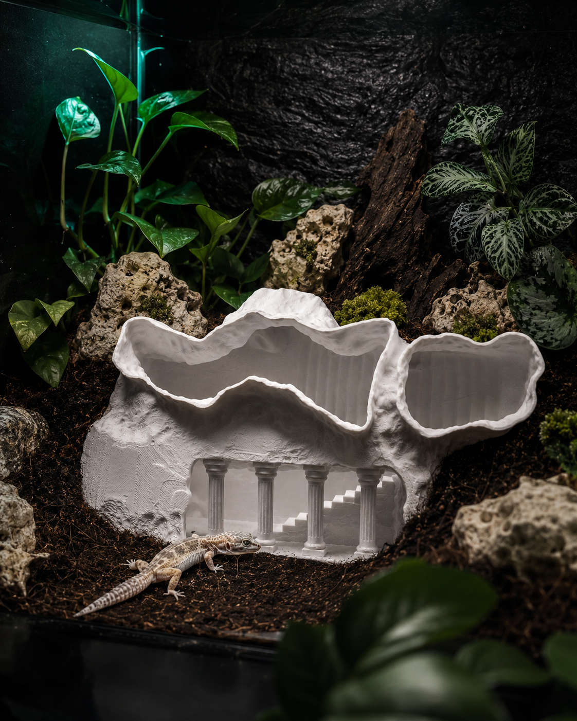 Terrarium Archway Hideout | Sculpted Multi-Level Shelter for Reptiles
