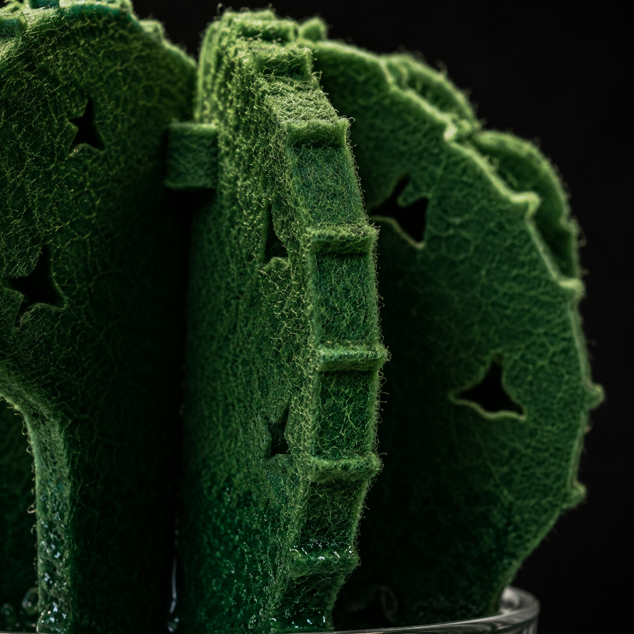 Cactus Terrarium Humidifier | Passive Moisture Support for Reptile Habitats
