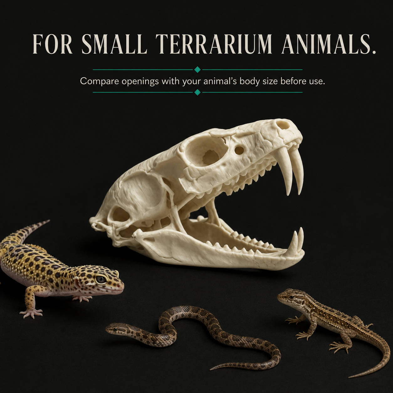 Reptile Skull Hide | 3D Printed Shelter for Snakes and Small Reptiles