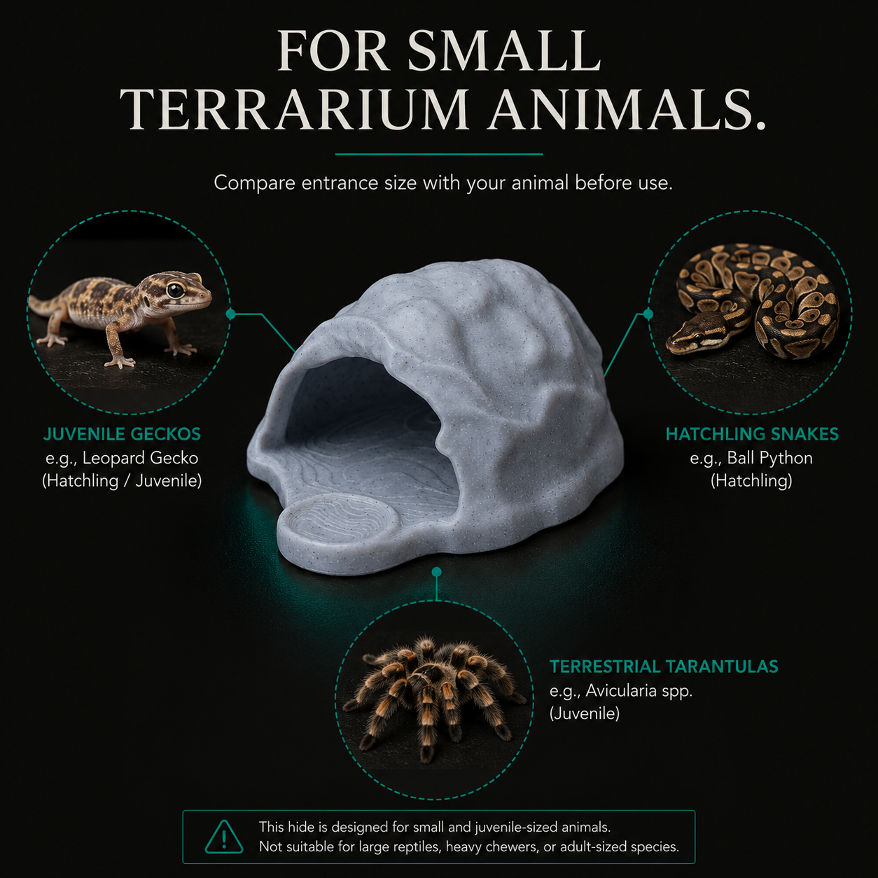 Mini Reptile Hideout | Compact PETG Shelter for Small Terrariums