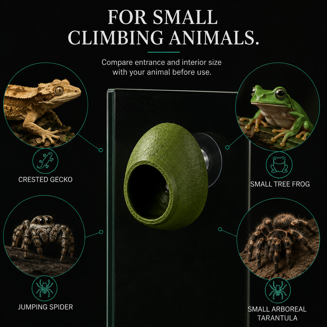 Wall-Mounted Egg Reptile Hide | Suction Cup Shelter for Arboreal Terrariums