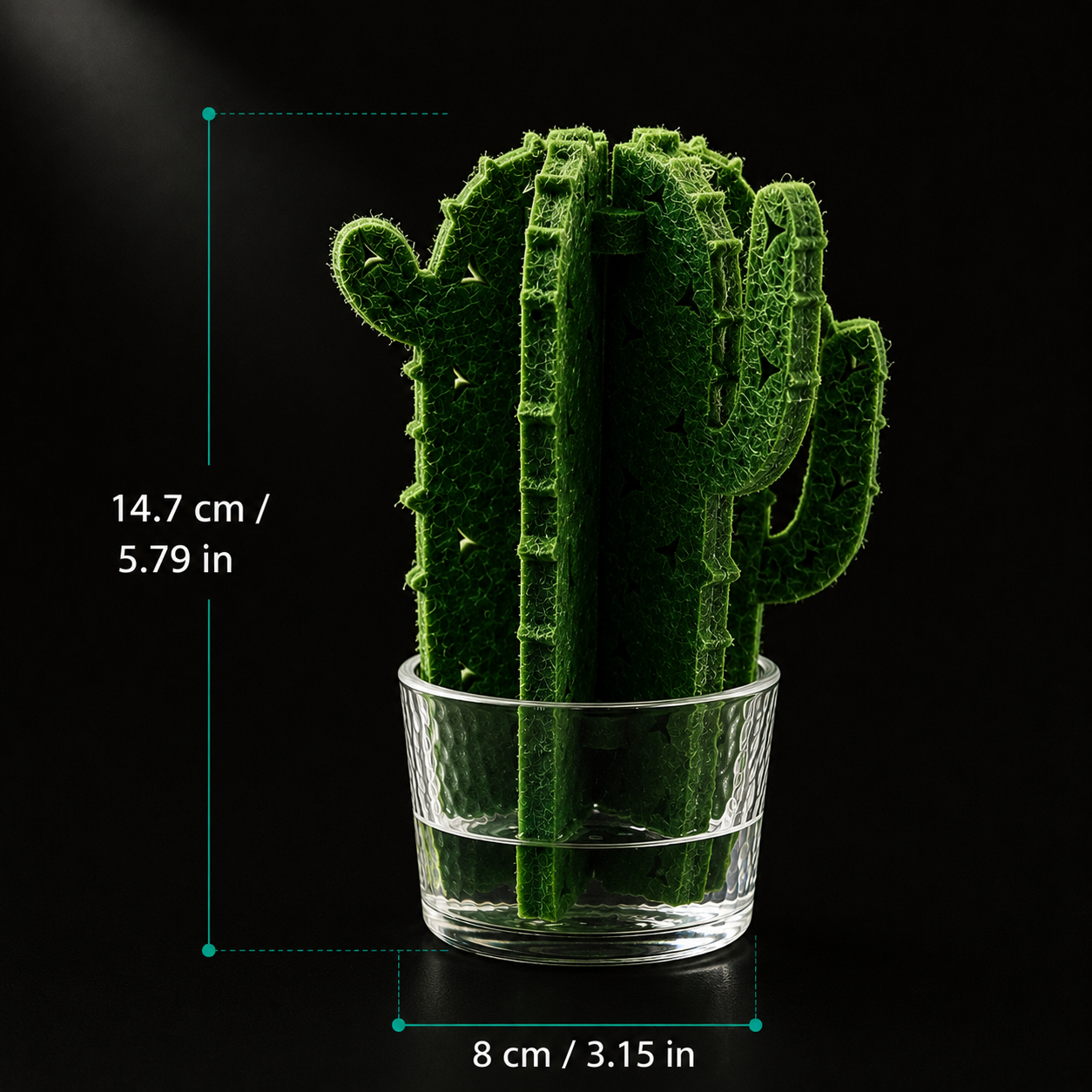 Cactus Terrarium Humidifier | Passive Moisture Support for Reptile Habitats
