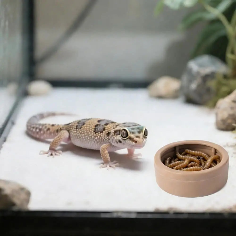 Portable Escape-Proof Reptile Food Dish Non-Tip Multi-purpose Worm Water Dish Compact Mealworm Feeder Cups Lizards Compact