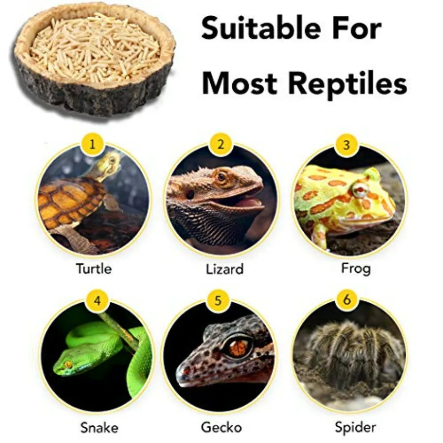 2 Pack Reptile Water and Food Bowls, Novelty Food Bowl for Lizards, Young Bearded Dragons, Small Snakes and More - Made from BP