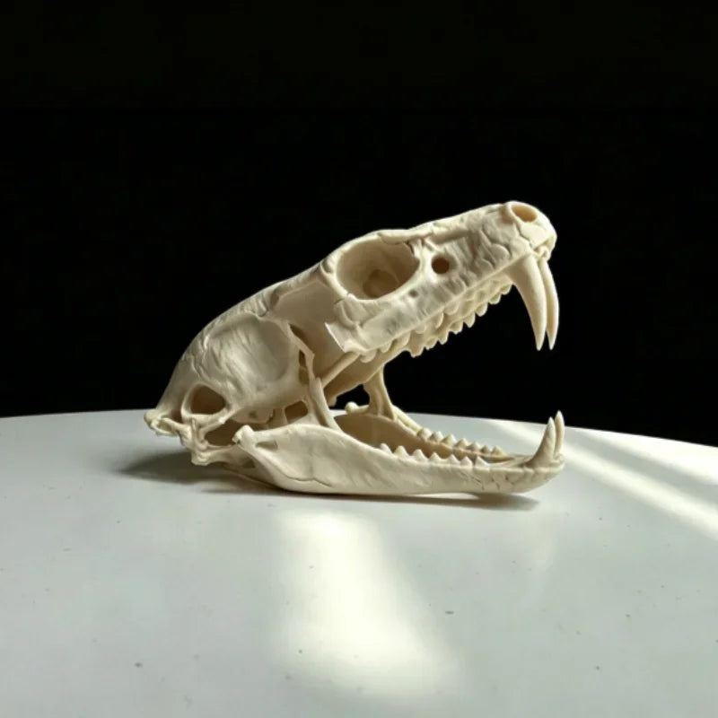 Reptile Vivarium Landscape Ornaments,Cobra Skull Sculpture Home Display Gift Cosplay Accessory,Habitat Décor,Reptiles,Amphibians