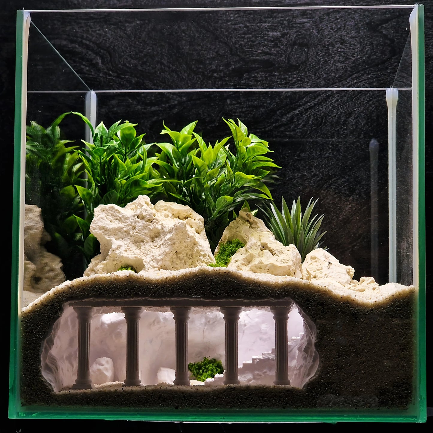 Reptile &  Amphibian Hideout Habitat Terrarium Archway Hiding Shelter Safe Pets Breeding Box Habitat Decor Reptiles Accessories