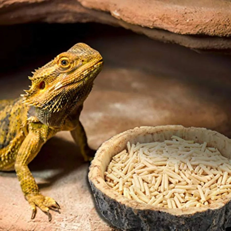 2 Pack Reptile Water and Food Bowls, Novelty Food Bowl for Lizards, Young Bearded Dragons, Small Snakes and More - Made from BP