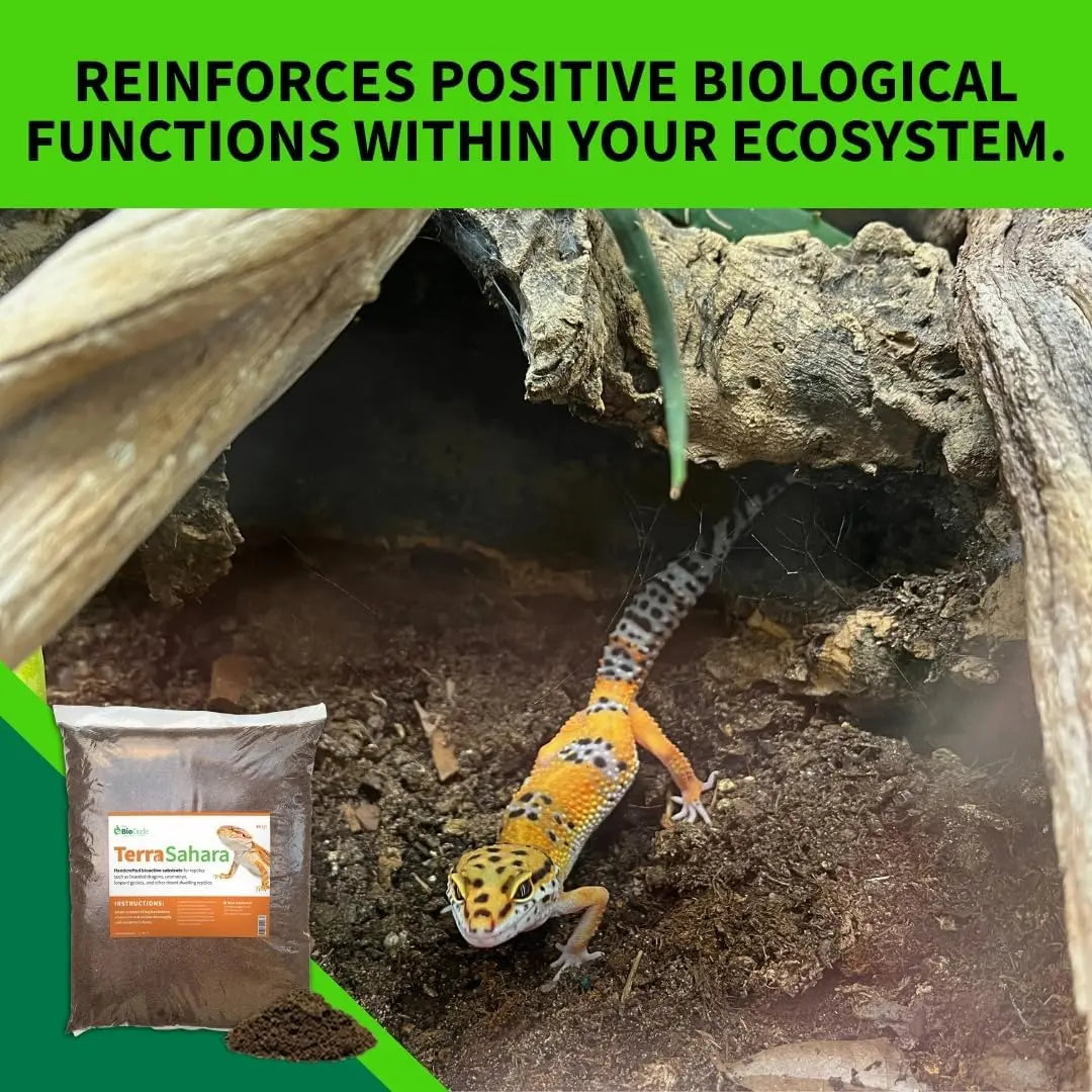 Bioactive Reptile Substrate 6qt for Desert Terrariums, Bearded Dragons, Leopard Geckos, Sand Boas