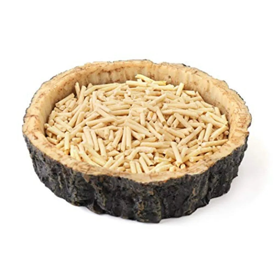 2 Pack Reptile Water and Food Bowls, Novelty Food Bowl for Lizards, Young Bearded Dragons, Small Snakes and More - Made from BP