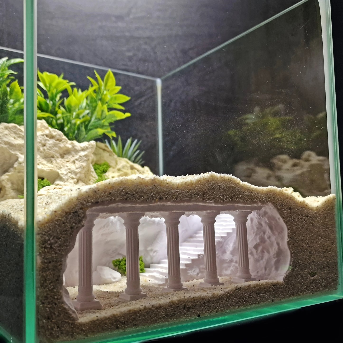 Reptile &  Amphibian Hideout Habitat Terrarium Archway Hiding Shelter Safe Pets Breeding Box Habitat Decor Reptiles Accessories