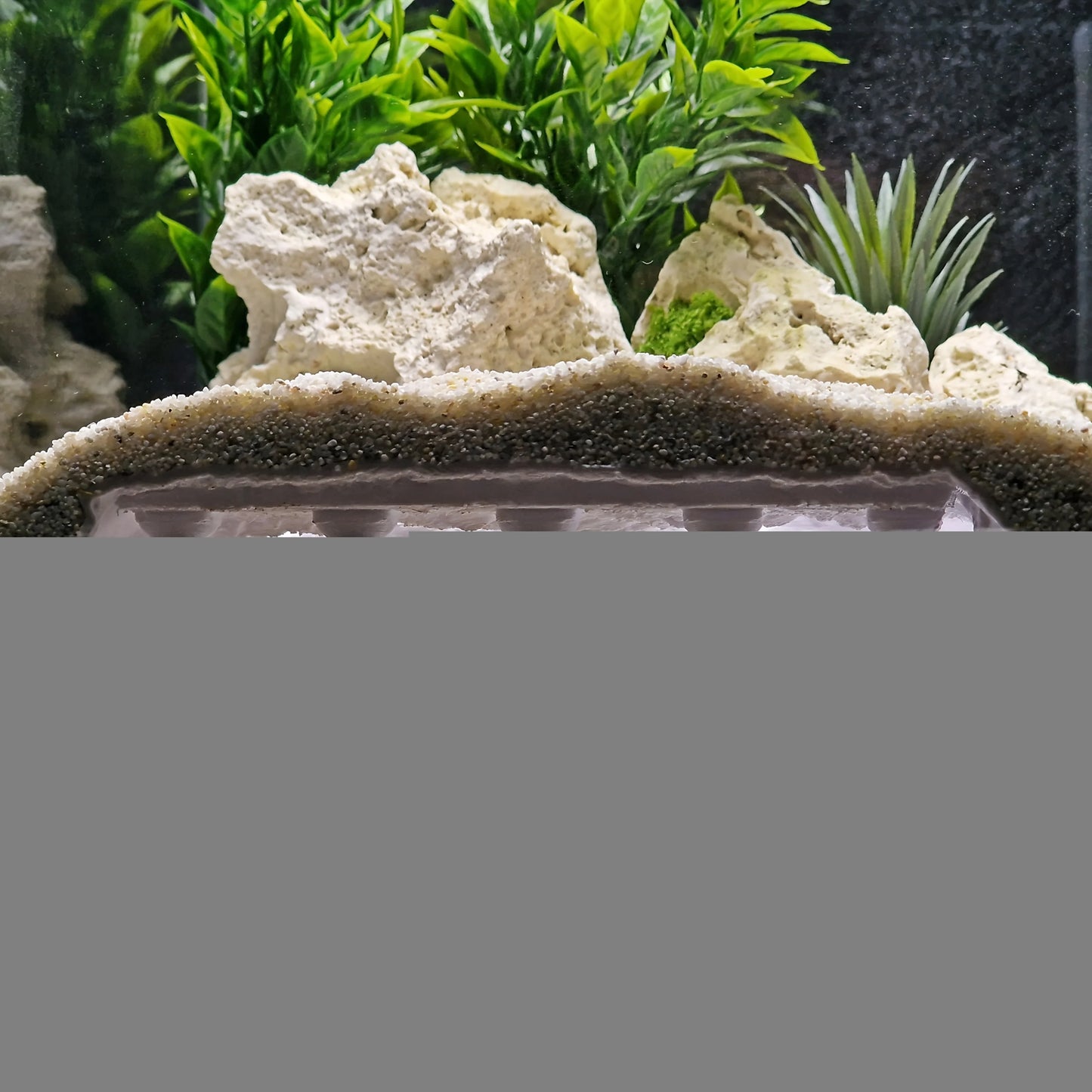 Reptile &  Amphibian Hideout Habitat Terrarium Archway Hiding Shelter Safe Pets Breeding Box Habitat Decor Reptiles Accessories