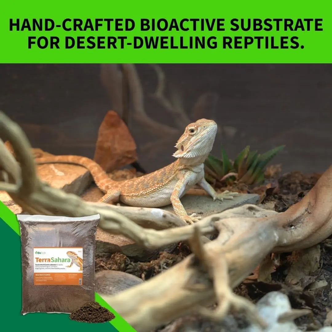 Bioactive Reptile Substrate 6qt for Desert Terrariums, Bearded Dragons, Leopard Geckos, Sand Boas