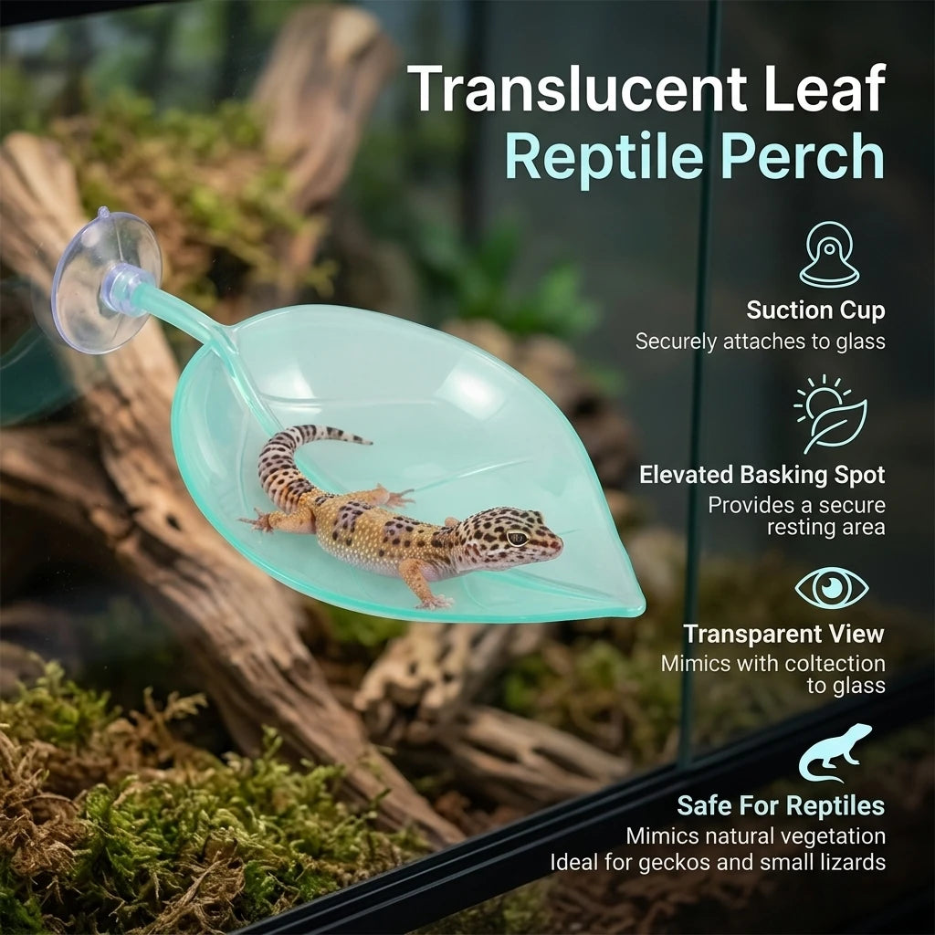 Reptile Hammock with Artificial Plant | Suction Cup Resting Platform for Geckos & Lizards