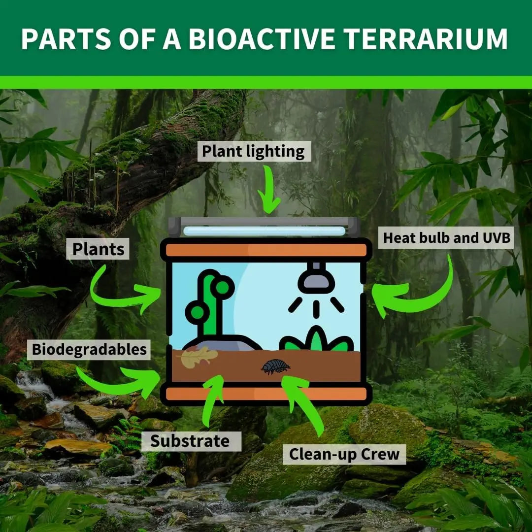 Bioactive Reptile Substrate 6qt for Desert Terrariums, Bearded Dragons, Leopard Geckos, Sand Boas