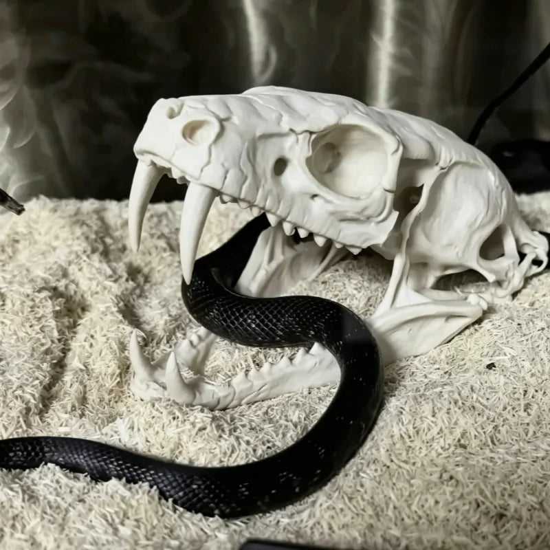 Reptile Vivarium Landscape Ornaments,Cobra Skull Sculpture Home Display Gift Cosplay Accessory,Habitat Décor,Reptiles,Amphibians
