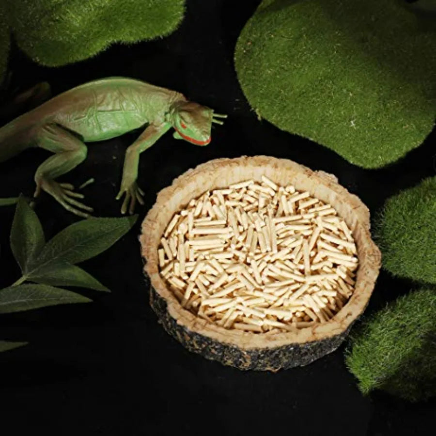 2 Pack Reptile Water and Food Bowls, Novelty Food Bowl for Lizards, Young Bearded Dragons, Small Snakes and More - Made from BP